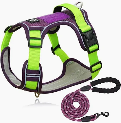 Correa reflectante 2 m